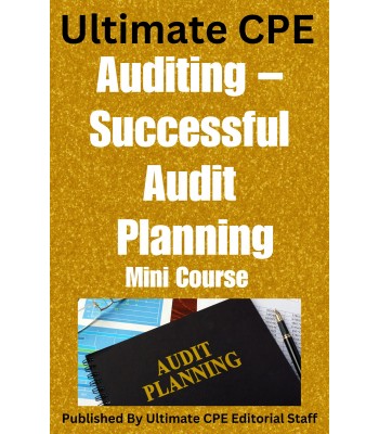 Auditing – Successful Audit Planning 2023
